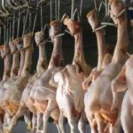 A staff member works at a poultry slaughterhouse in Changzhi